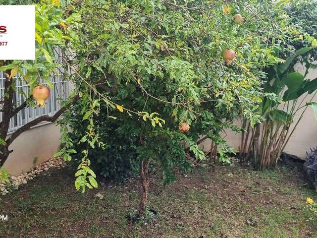 #41B43AM - Casa para Venda em São Paulo - SP