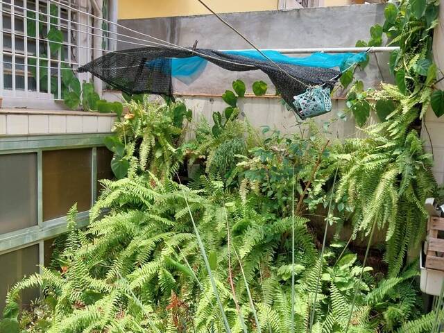#3900DA - Casa para Venda em São Paulo - SP