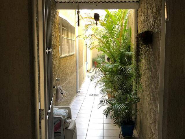 #43B338CR - Casa para Venda em São Paulo - SP