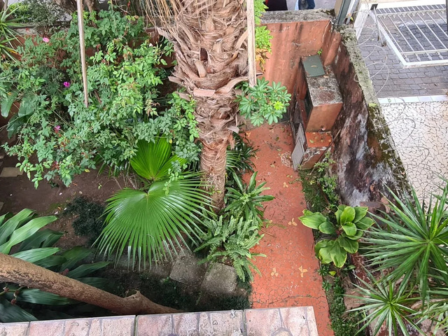 #4465PA - Casa para Venda em São Paulo - SP - 2