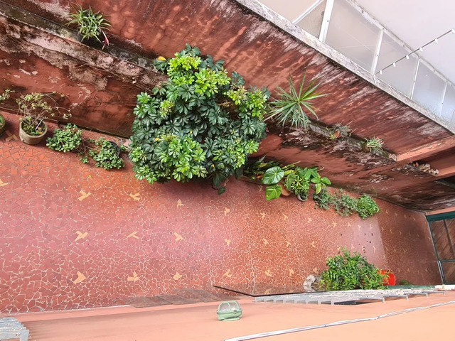 Casa para Venda em São Paulo - 5