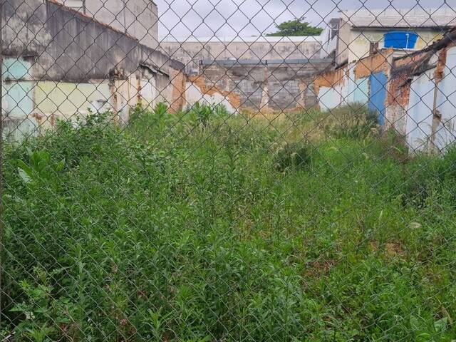 #34B300EL - Terreno para Venda em São Paulo - SP - 1