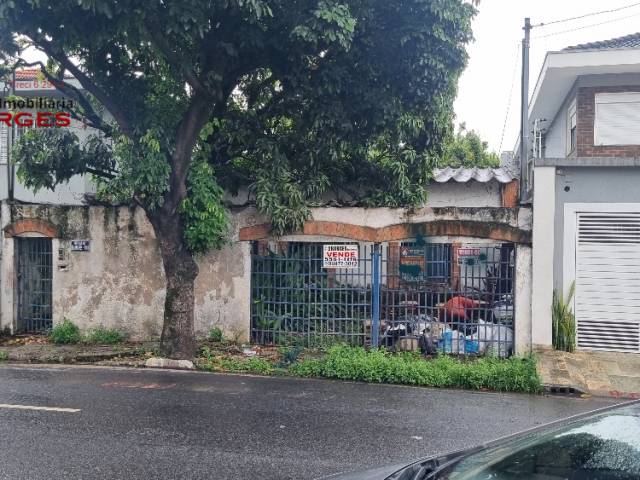 Terreno para Venda em São Paulo - 4