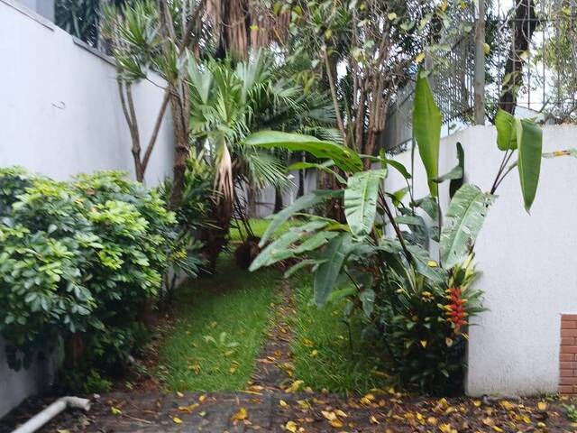 Casa para Locação em São Paulo - 5