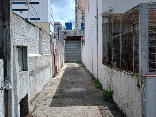 Galpão para Locação em São Paulo - 3